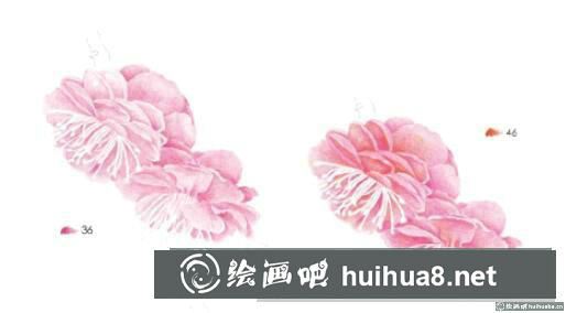 怎么畫梅花
