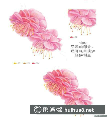 怎么畫梅花