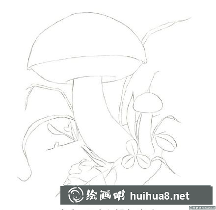 菌類彩鉛畫