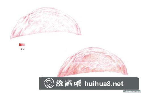 菌類彩鉛畫