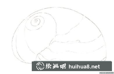 怎么畫(huà)海螺