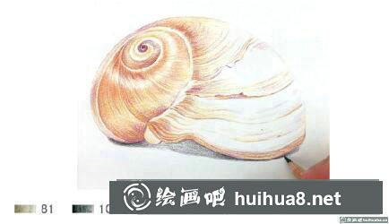怎么畫(huà)海螺