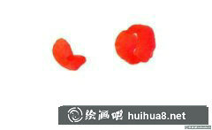 國(guó)畫(huà)荔枝畫(huà)法入門(mén)教程