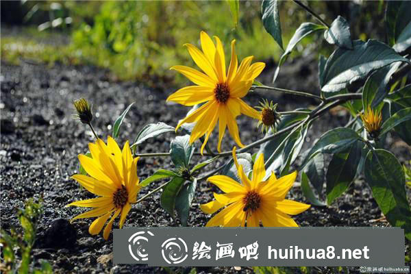 南昌大學美術?？伎碱}