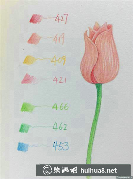 彩鉛畫教程