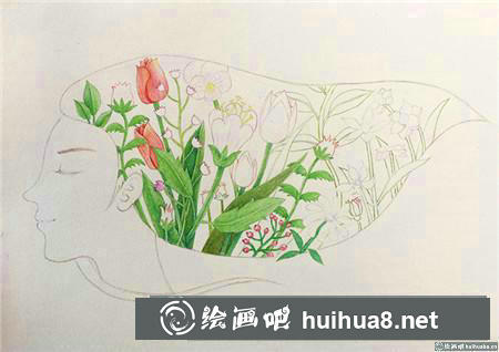 彩鉛畫教程