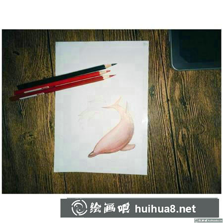 彩鉛畫教程