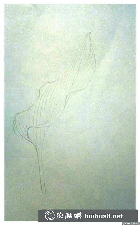 彩鉛畫教程 彩鉛畫教程