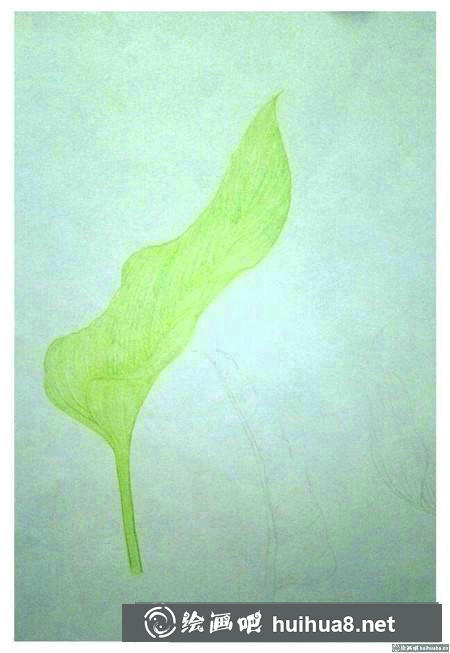 彩鉛畫教程 彩鉛畫教程