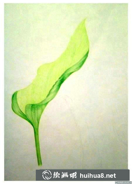 彩鉛畫教程 彩鉛畫教程