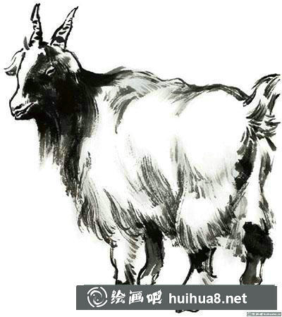 貓咪怎么畫(huà)