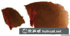 國畫蜘蛛繪畫技巧