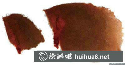 國畫蜘蛛怎么畫