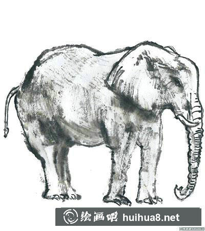 國(guó)畫(huà)大象怎么畫(huà) 國(guó)畫(huà)大象怎么畫(huà)
