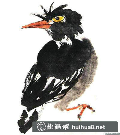 國畫八哥怎么畫