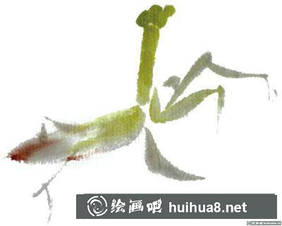國畫螳螂怎么畫