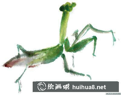 國畫螳螂怎么畫