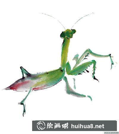 國畫螳螂怎么畫