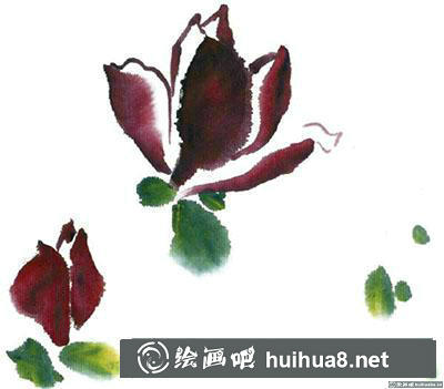 國(guó)畫紫玉蘭怎么畫