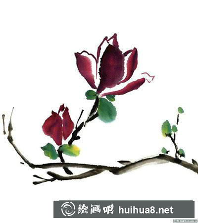 國(guó)畫紫玉蘭怎么畫