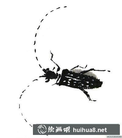國畫天牛怎么畫