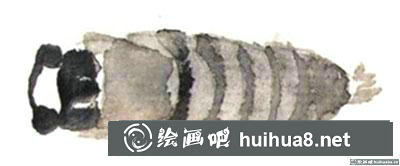 國畫蟬怎么畫