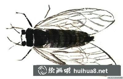 國畫蟬怎么畫