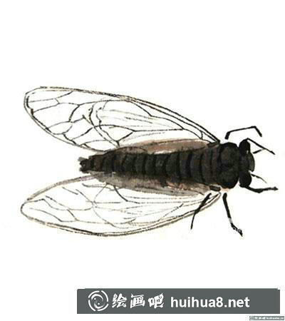 國畫蟬怎么畫