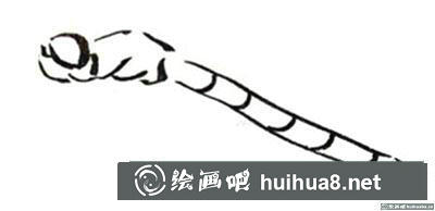 國畫蜻蜓怎么畫