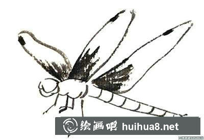 國畫蜻蜓怎么畫
