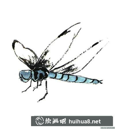 國畫蜻蜓怎么畫