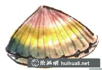 國畫貝殼怎么繪制