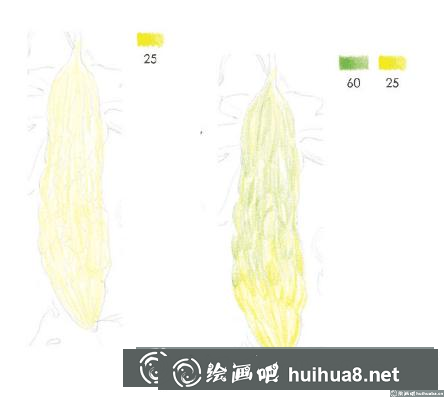彩鉛畫教程