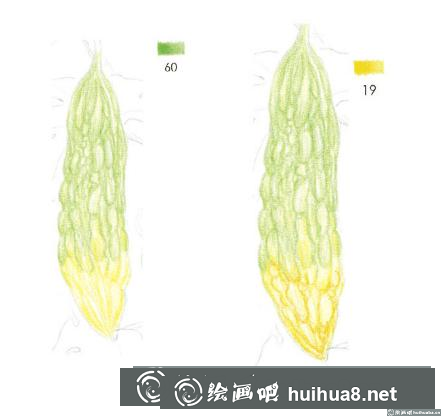 彩鉛畫教程