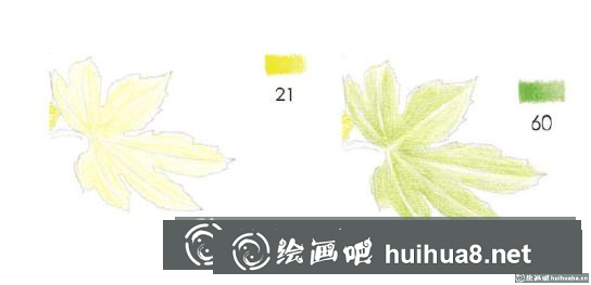 彩鉛畫教程