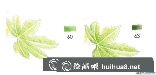 彩鉛畫教程