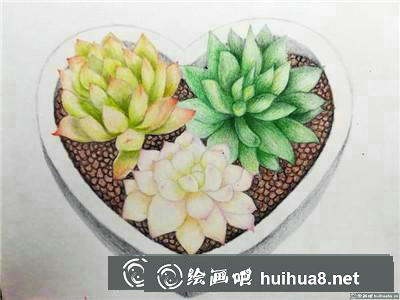 植物彩鉛
