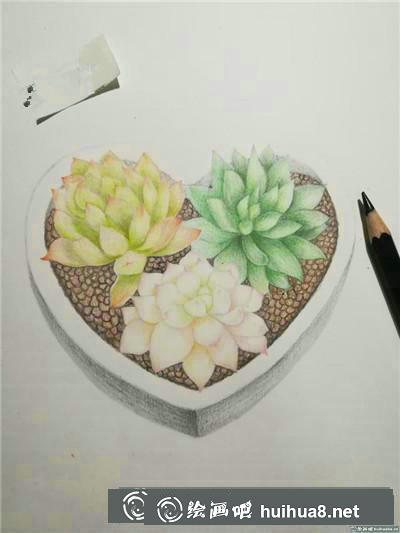 植物彩鉛