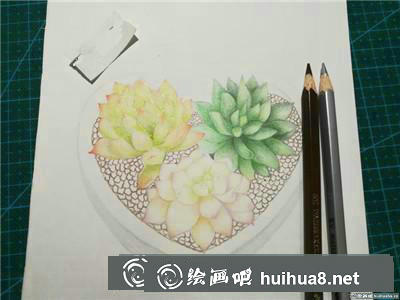 植物彩鉛