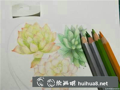 植物彩鉛