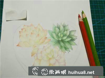 植物彩鉛