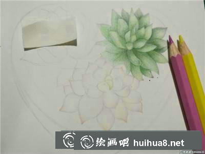 植物彩鉛