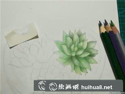 植物彩鉛