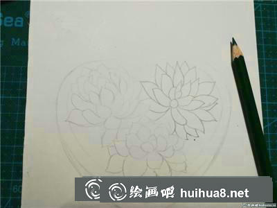 植物彩鉛