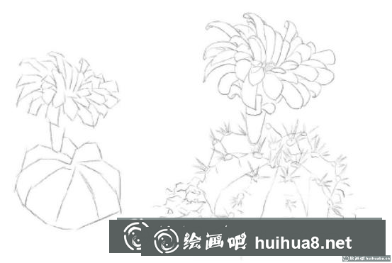 開花的仙人球彩鉛畫教程