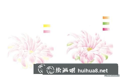 開花的仙人球彩鉛畫教程