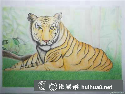 動物彩鉛