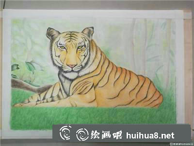動物彩鉛