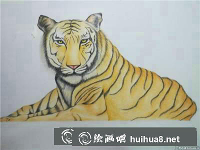 動物彩鉛