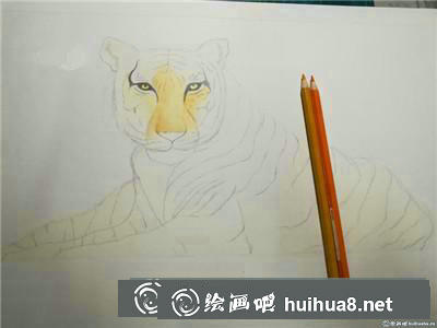 動物彩鉛